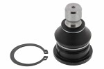 MAPCO  Ball Joint 51323