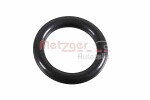 METZGER AUTOTEILE Seal,  oil pipe 2430069