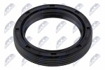 NTY  Seal Ring NUP-VW-013