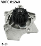 SKF  Water Pump,  engine cooling VKPC 81240