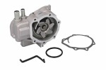 THERMOTEC  Water Pump,  engine cooling D17009TT