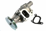 THERMOTEC  Water Pump,  engine cooling D1F045TT