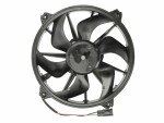 THERMOTEC  Fan,  engine cooling 500W 12V D8C002TT