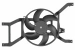 THERMOTEC  Fan,  engine cooling D8R010TT