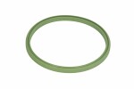 THERMOTEC  Seal Ring,  charge air hose DCM070TT