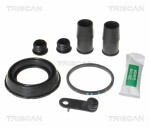 TRISCAN  Ремкомплект,  тормозной суппорт 8170 204870