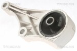 TRISCAN  Mounting,  engine 8505 24100