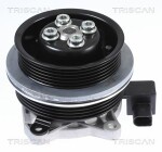 TRISCAN  Water Pump,  engine cooling 8600 29062
