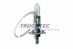 TRUCKTEC AUTOMOTIVE  lemputė, priekinis žibintas 12V 55W H1 88.58.101