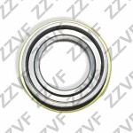 ZZVF  Shaft Seal,  drive shaft ZVCL219